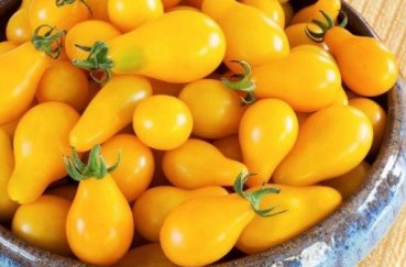 Что такое индетерминантный сорт томатов
